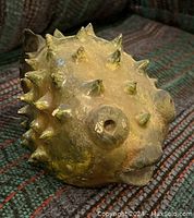 Full view of raku pottery puffer fish from front angle showing textured spikes and green color.