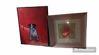 Two framed art prints side by side, one of a dog on a red background and one of a pink orchid flower in a light frame