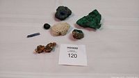 Seven mineral and fossil specimens arranged on white surface: deep blue azurite with malachite, green malachite, copper with epidote, dioptase, coral fossil, moss agate, kyanite crystal.