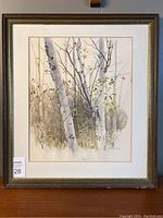 Front view of framed watercolor painting titled 'Birches' by Bruce St. Clair, showing birch trees and surrounding foliage.