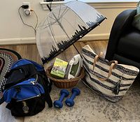 Photo showing the entire assortment including umbrella, weights, duffle bag, iron in basket, striped bag and pet hair rollers.