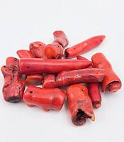 Pile of 12 red branch coral beads showing natural shapes, colors, and drilled holes for stringing