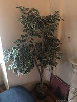 Full view of artificial tree with variegated leaves in pot, placed near corner against the wall.