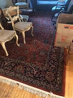 Overall view of rug on hardwood floor showing full pattern, border and fringe