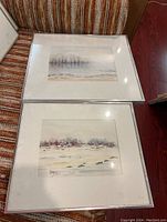 Two framed watercolour paintings depicting landscape scenes with natural elements, both signed Hans.