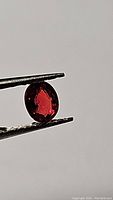 Oval-shaped natural ruby held by tweezers showing deep blood red color and facets.
