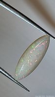 Close-up photo of a marquise-shaped Ethiopian opal held by tweezers showing translucent body and vibrant flashes of color in pink and green.