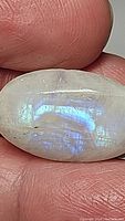 Close-up of an oval rainbow moonstone cabochon showing a strong blue flash, held between fingers for scale.