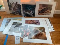 Photo showing a collection of wildlife photography prints laid out on a floor, depicting animals including a horse, squirrels, reptiles, meerkat, bobcat, tiger, and primates.