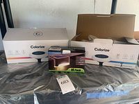 Lot showing two Colorize branded solar outdoor light boxes and a 16-pack of smaller solar lights. The Colorize boxes contain round solar ground stake lights with waterproof and wireless features. The smaller box indicates 16 lights for step, fence, and railing application.