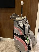 Side angle photo showing the Lopez golf bag with pink and gray color scheme and golf clubs inside, including visible putter and irons.