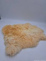 Full view of cream and light tan plush sheepskin rug laid out flat.
