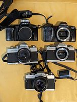 Top view showing all five vintage Minolta film cameras laid out on a flat surface with straps and lens accessories.