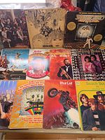 Photo showing eleven vinyl record covers arranged on a surface, including The Beatles Revolver, Al Hirt, Donny & Marie/New Swanson, Meat Loaf Bat Out of Hell, Beach Boys 20 Greatest Hits, and others.