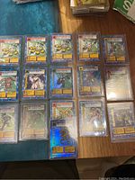Top view of the full collection of 16 Digimon trading cards in protective sleeves arranged in rows showing various Digimon characters and some holographic foil cards.