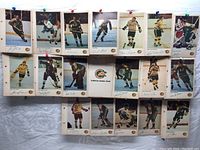 Photo showing the full set of 21 vintage hockey cards laid out, featuring players in California Golden Seals uniforms and one team logo card.