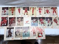 Full laid-out photo showing all 21 vintage Toronto Sun Detroit Red Wings hockey cards from 1971-72 season.