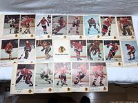 21 vintage hockey cards featuring Chicago Blackhawks players from 1971-72 Toronto Sun series laid out in 3 rows, some cards with autographs visible on surface.
