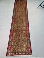 Full-length top-down shot showing the entire runner rug with borders, field pattern and tassel ends.