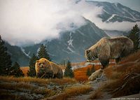 Close up of the grizzly bears in the natural mountain setting showing detail and composition of the print.