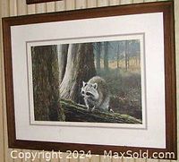 Full view of framed art print showing raccoon in forest, wood frame with mat and glass.