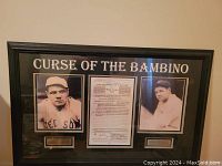 Front view of the framed display on a wall, showing title 'Curse of the Bambino', two photos of Babe Ruth, and central contract.