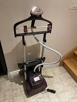 Full view of the Rowenta clothing steamer showing the adjustable height hanger, base unit, and steam head with hose.