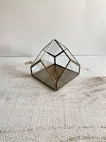 Front angled view of the pointed glass and metal terrarium on a wooden surface, showing its pointed geometric shape and metal base.