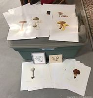 Full lot arranged on plastic storage bin showing multiple wild mushroom illustration prints, two framed watercolor mushroom artworks, and a tote bag underneath.