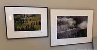 Photo of two framed signed photographs hanging on a wall, one landscape autumn forest scene and one abstract grayish image
