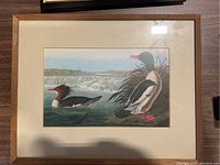 Framed bird drawing with two birds, one swimming and one perched near water and reeds.