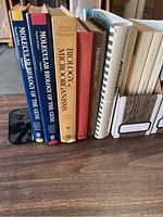 Five microbiology and molecular biology textbooks on a table, two volumes titled 'Molecular Biology of the Gene' with blue covers, 'Biology of Microorganisms,' 'Microbiology 1984,' and 'Amino Acids' book with white cover.