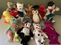 Photo showing all 14 Beanie Babies arranged on a table, variety of animals and colors visible