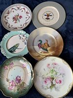 Photo showing all six collector plates from above on a dark blue surface, displaying floral, commemorative, duck, frog, tulip, and rose designs.