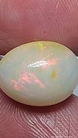 Close-up of oval translucent milky white opal with red and orange play of color held between fingers.