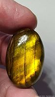 Photo showing rough oval yellow labradorite gemstone held between fingers, displaying vivid yellow flash and natural internal texture.
