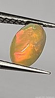 Closeup image of the natural Ethiopian fire opal gemstone held by tweezers showing its orange and yellow fire and oval shape.