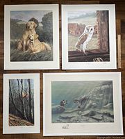 All four animal prints displayed together on floor with ruler for scale.