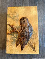 Top view photo showing carved owl design on wooden box lid with branch details.