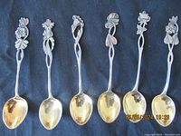 Full view of all six floral teaspoons showing gold wash bowls and floral handles