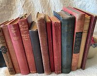 Side view of the book collection showing nineteen hardcover books with red, brown, and blue covers in various vintage conditions.
