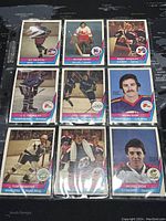 Nine 1977-78 WHA hockey trading cards from O-Pee-Chee laid out showing player images and team logos.
