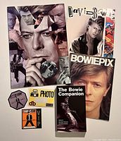 Cover view of several David Bowie books and three laminated backstage/vip passes
