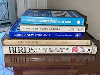 Stack of five books showing titles and condition