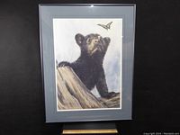 Framed limited edition print by Sue Coleman featuring a black bear cub looking at a butterfly, inside a blue mat and black frame.