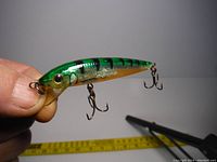 Photo showing a close-up of a single Rapala Husky Jerk fishing lure in Glass Perch color held in hand with measuring tape below for scale.
