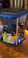 Hexagonal aquarium with black lid, neon-colored plants inside, viewed on wooden table surface