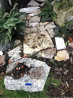 Flat irregular natural stone pieces arranged outdoors among foliage and soil with visible dirt and plant debris