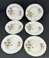 Full set of six vintage Aynsley side plates with floral designs and green trim shown on black display stands.