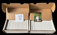 Two open cardboard boxes filled with neatly arranged baseball cards inside, showing the full card set spread across both boxes.